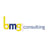 BMG Consulting Inc. Logo